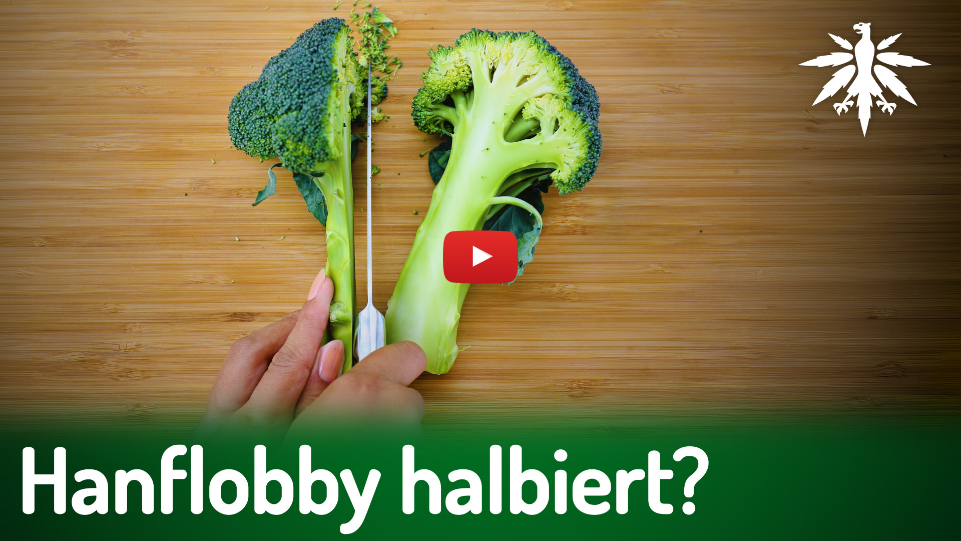 Hanflobby halbiert? DHV-Förderer verschwunden! | DHV-News # 527