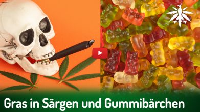 Gras in Särgen und Gummibärchen | DHV-News # 528